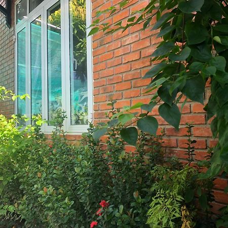 Q'Tropical Garden Homestay Хюе Екстер'єр фото